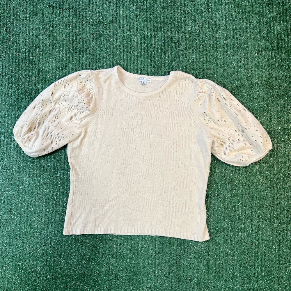 Chic Cream Puff Sleeve Sweater